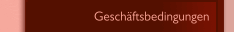Geschäftsbedingungen